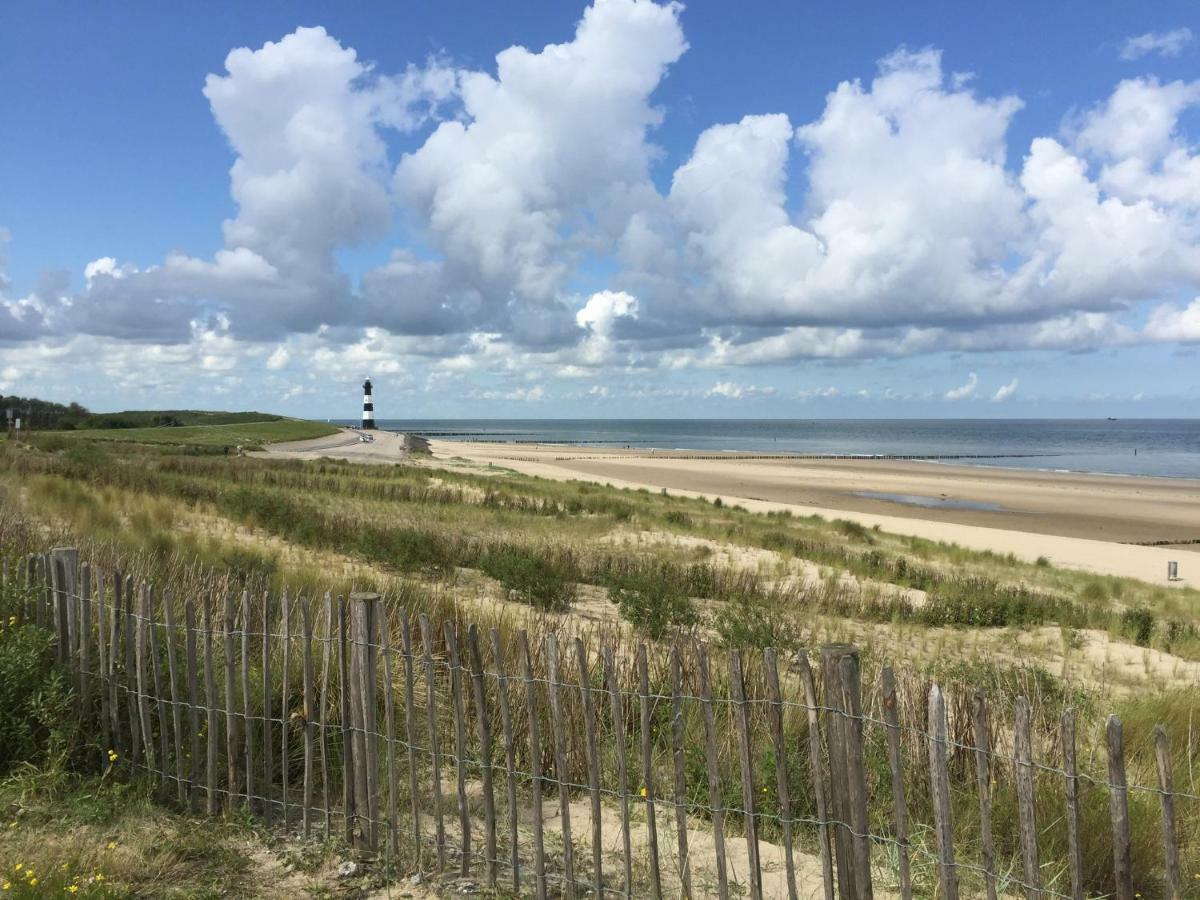 Park Schoneveld, Zeester 24 *